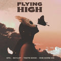 Flying High