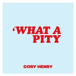 Cover of What a Pity