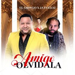 Cover of Amigo Olvidala