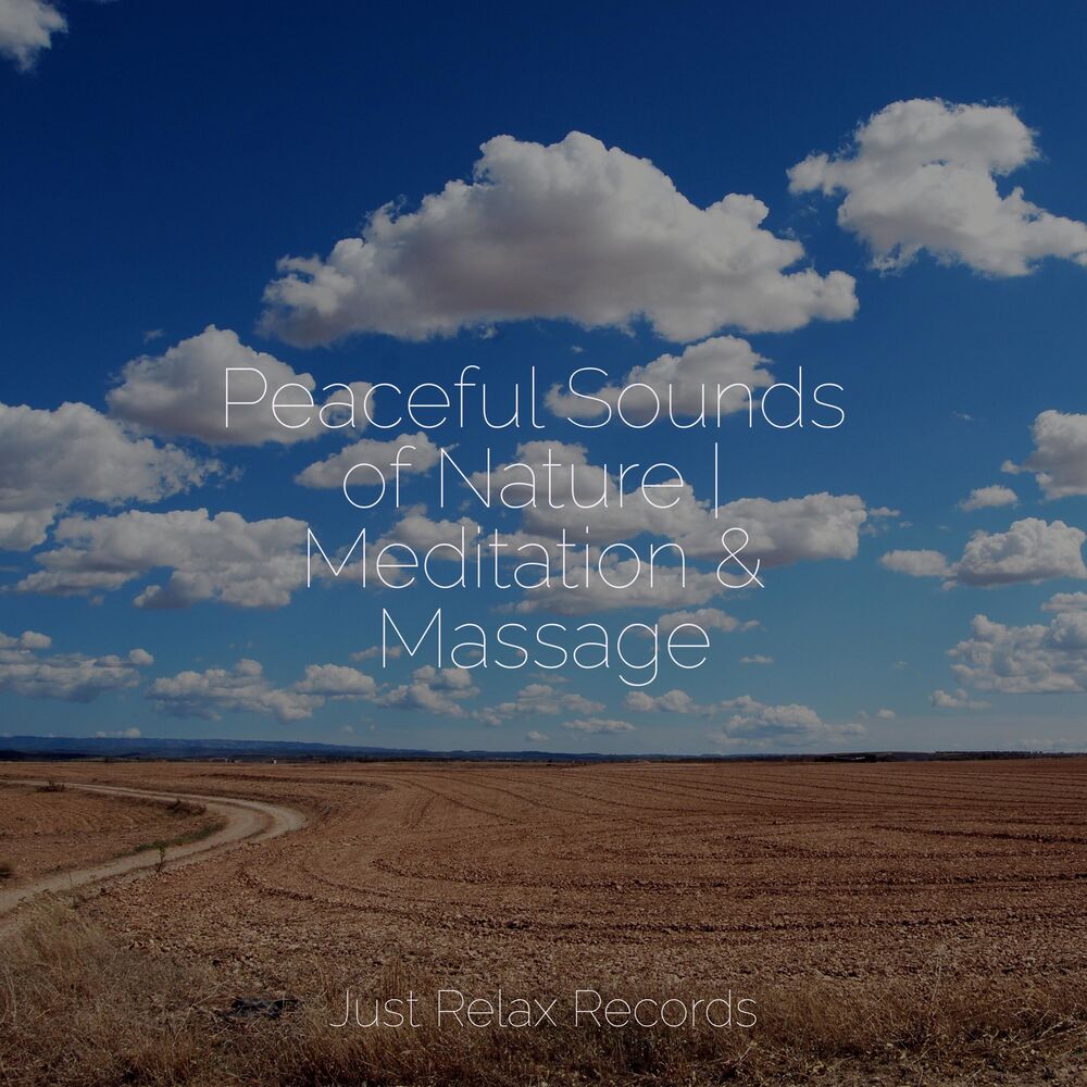 Picture of Peaceful Sounds of Nature | Meditation & Massage