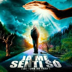 Cover of Já Me Senti Só