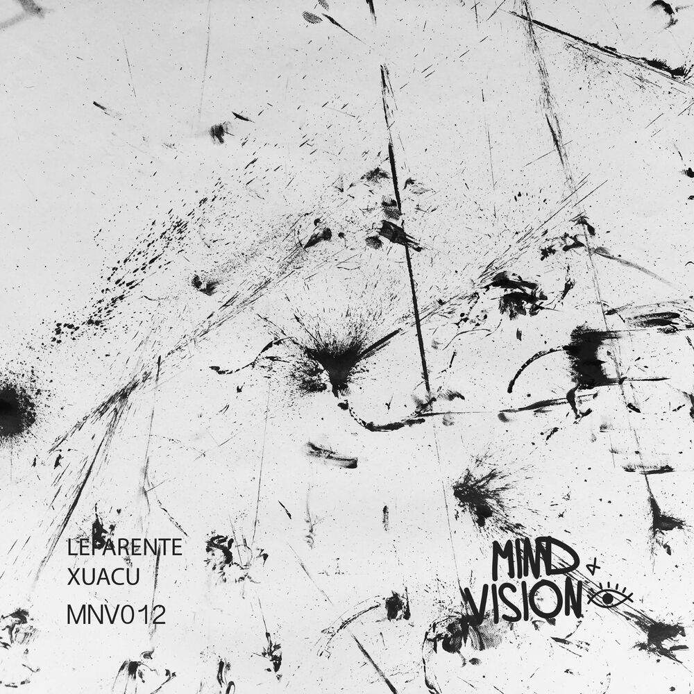 Picture of Vision Series, Vol. 4