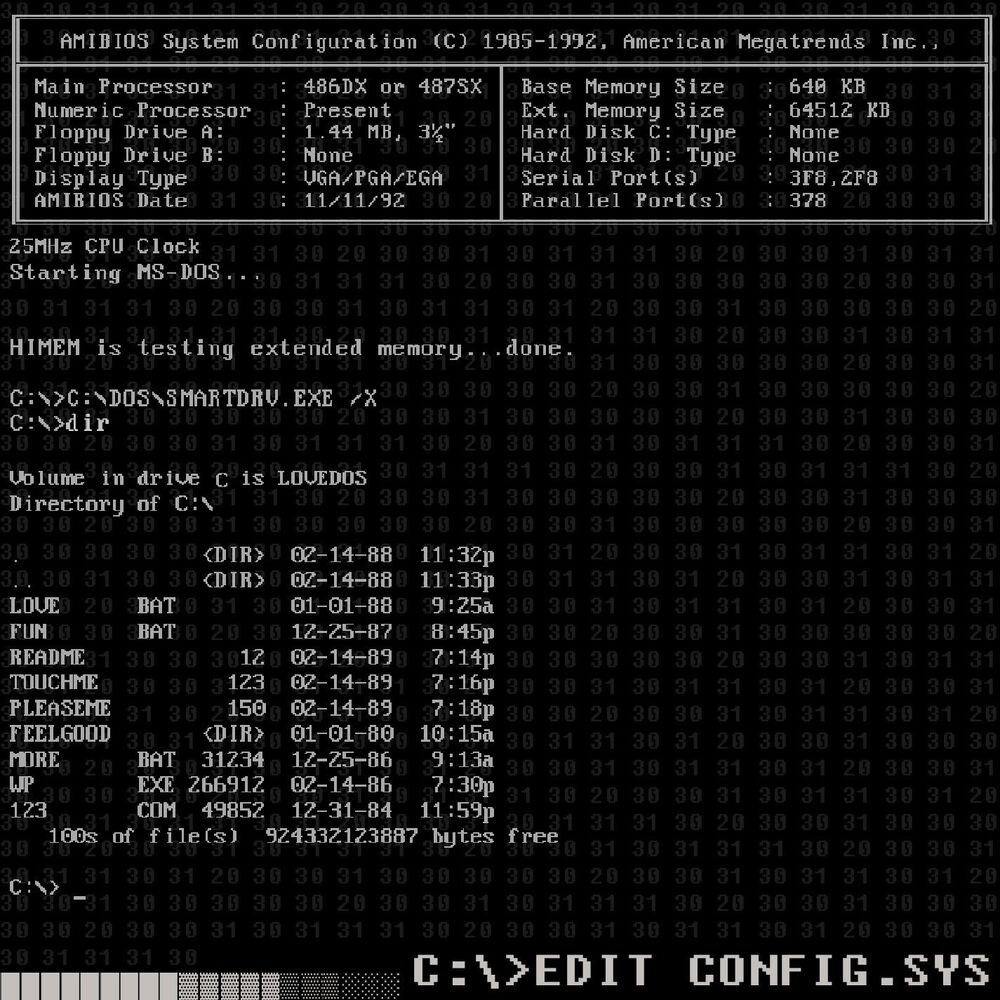 Picture of C:\>EDIT CONFIG.SYS
