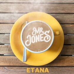 Cover of Mr. Jones