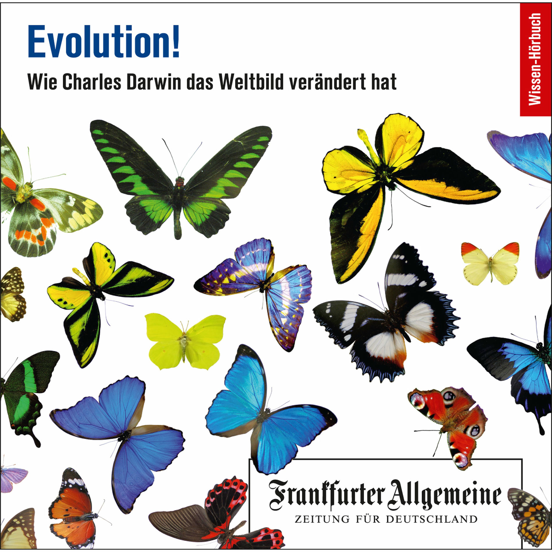 Album cover of Evolution! (Wie Charles Darwin das Weltbild verändert hat)