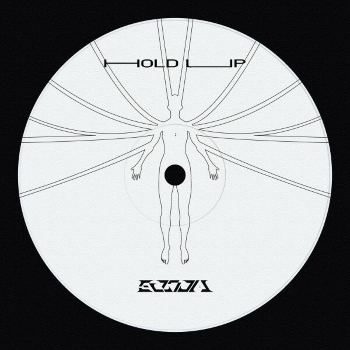 Album cover of Hold Up