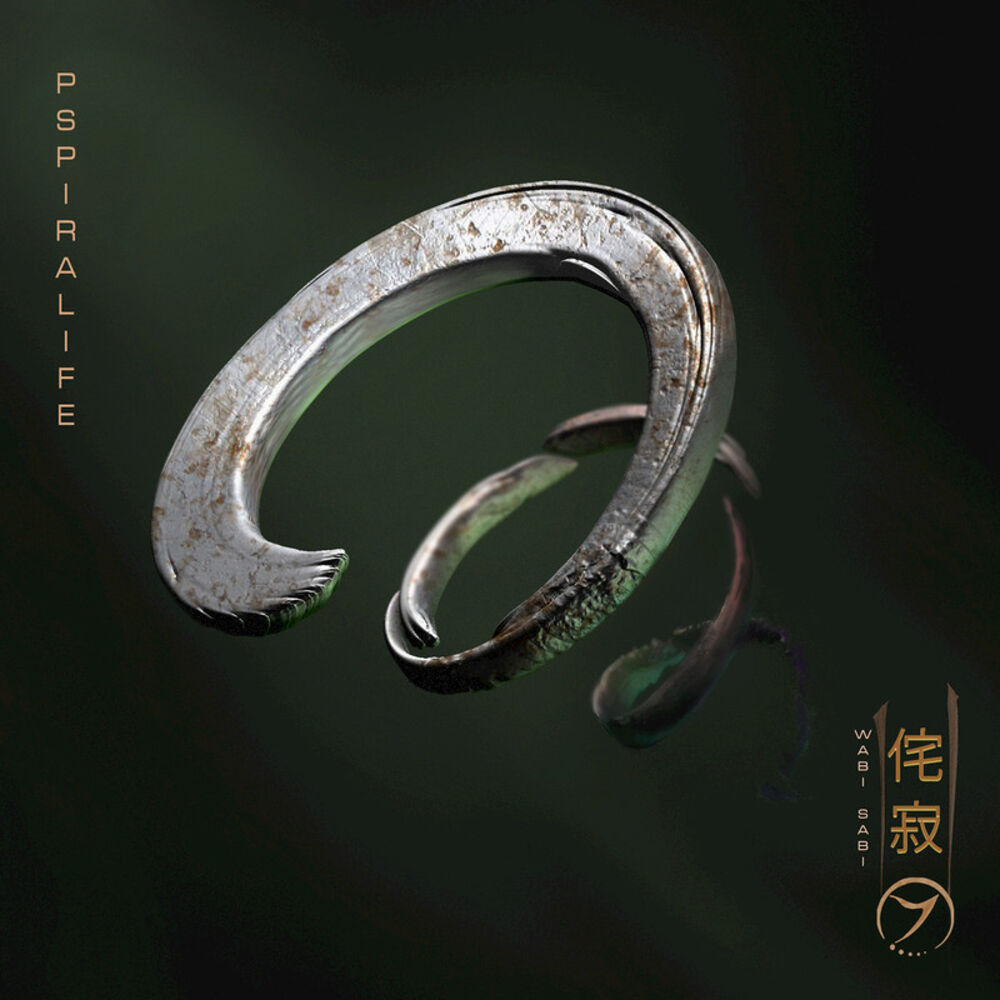 Picture of Wabi Sabi