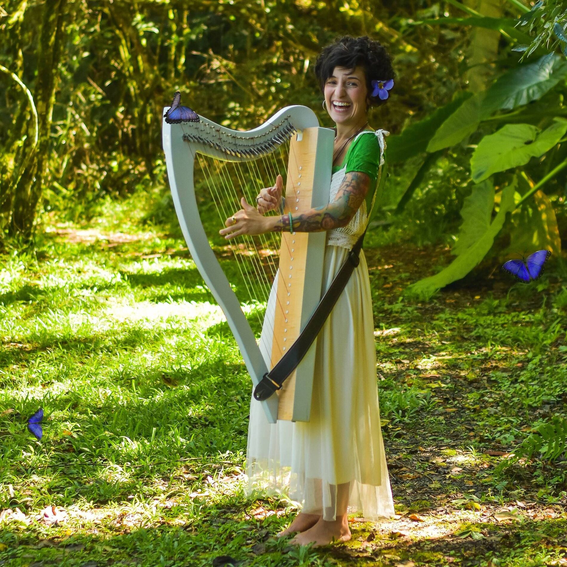 Album cover of Borboleta