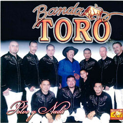 Cover of Polvo y Nada