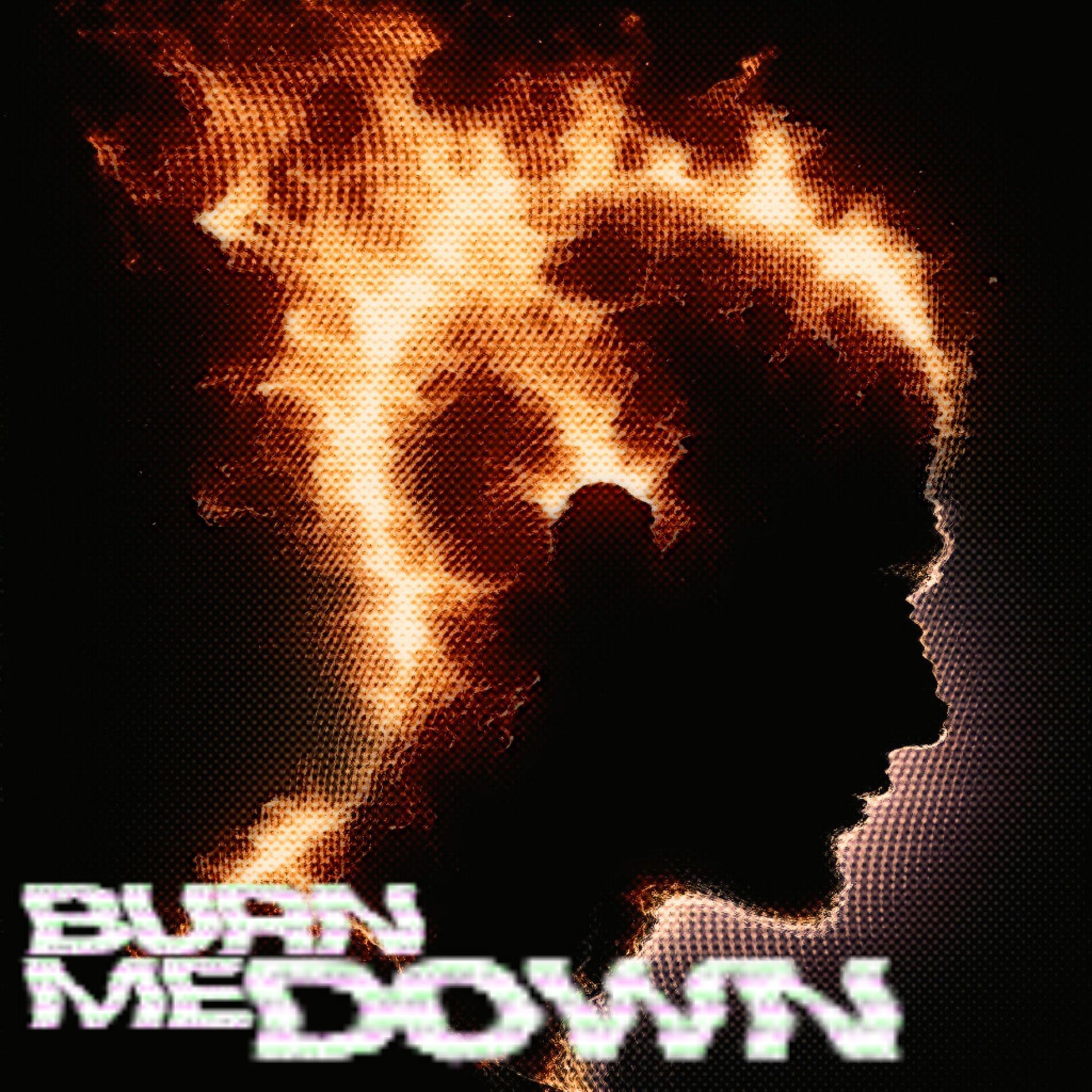 Album cover of Burn Me Down