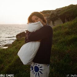 Cover of BIG SADS