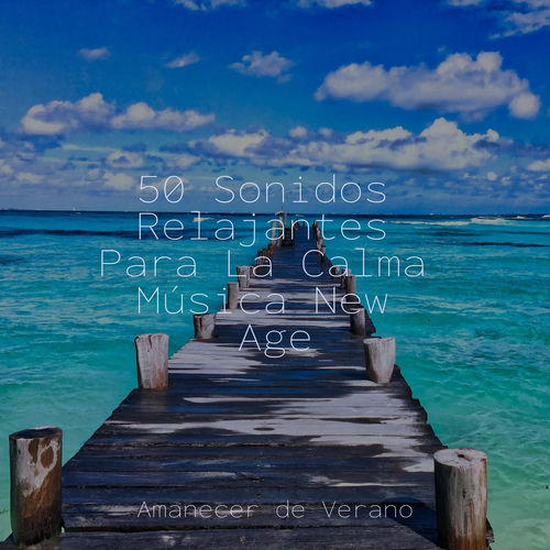 50 Sonidos Relajantes Para La Calma Música New Age