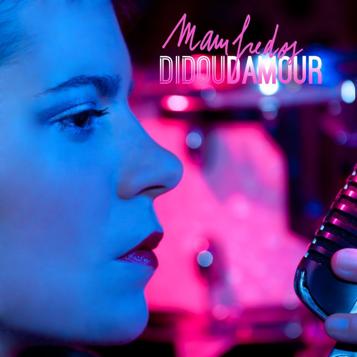 Album cover of Didoudamour