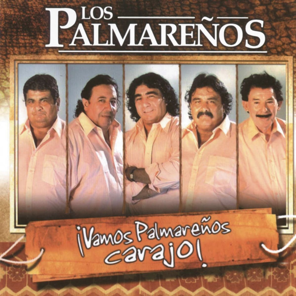 Album cover of Vamos Palmareños Carajo