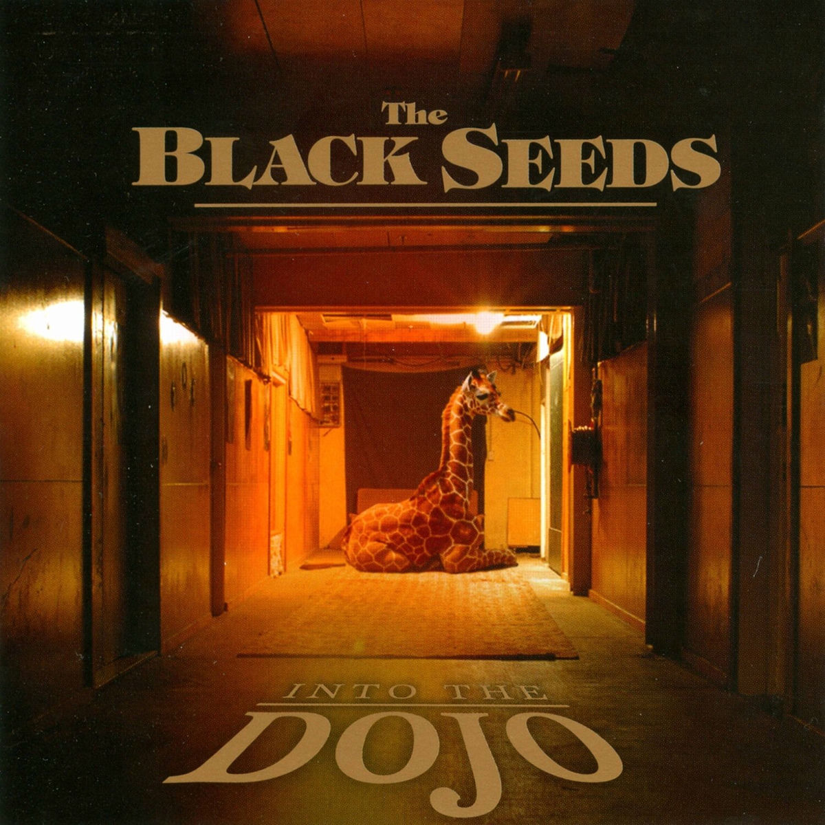 Album cover of Into the Dojo