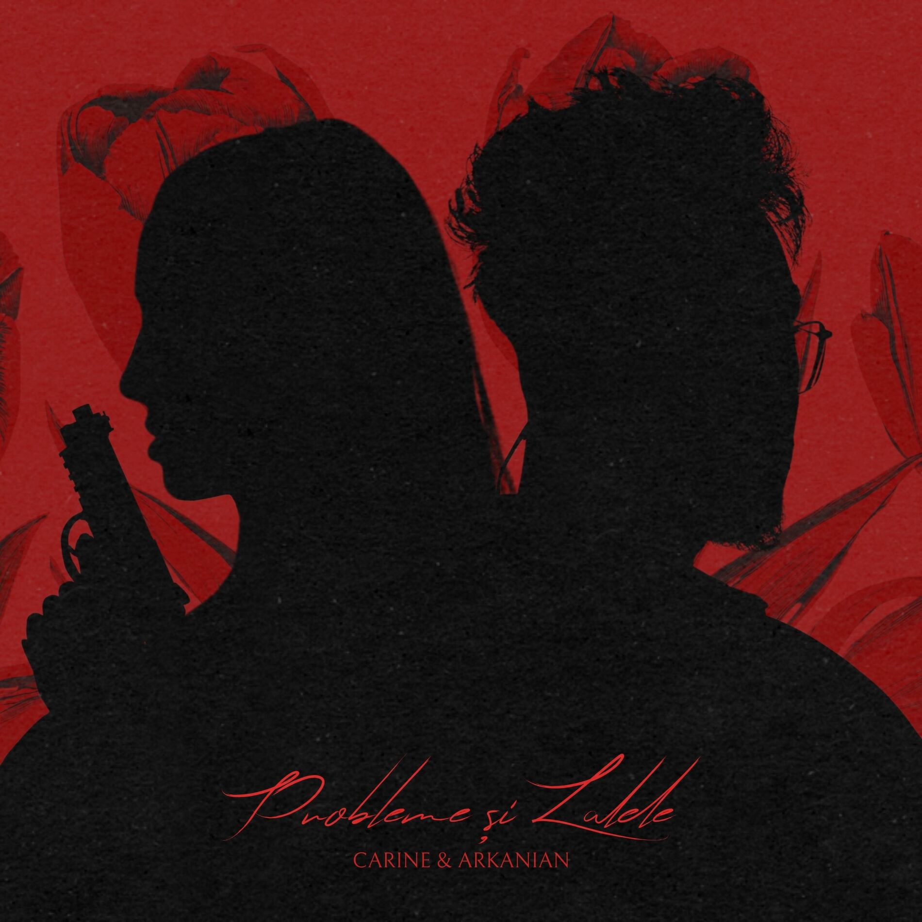 Album cover of Probleme si Lalele