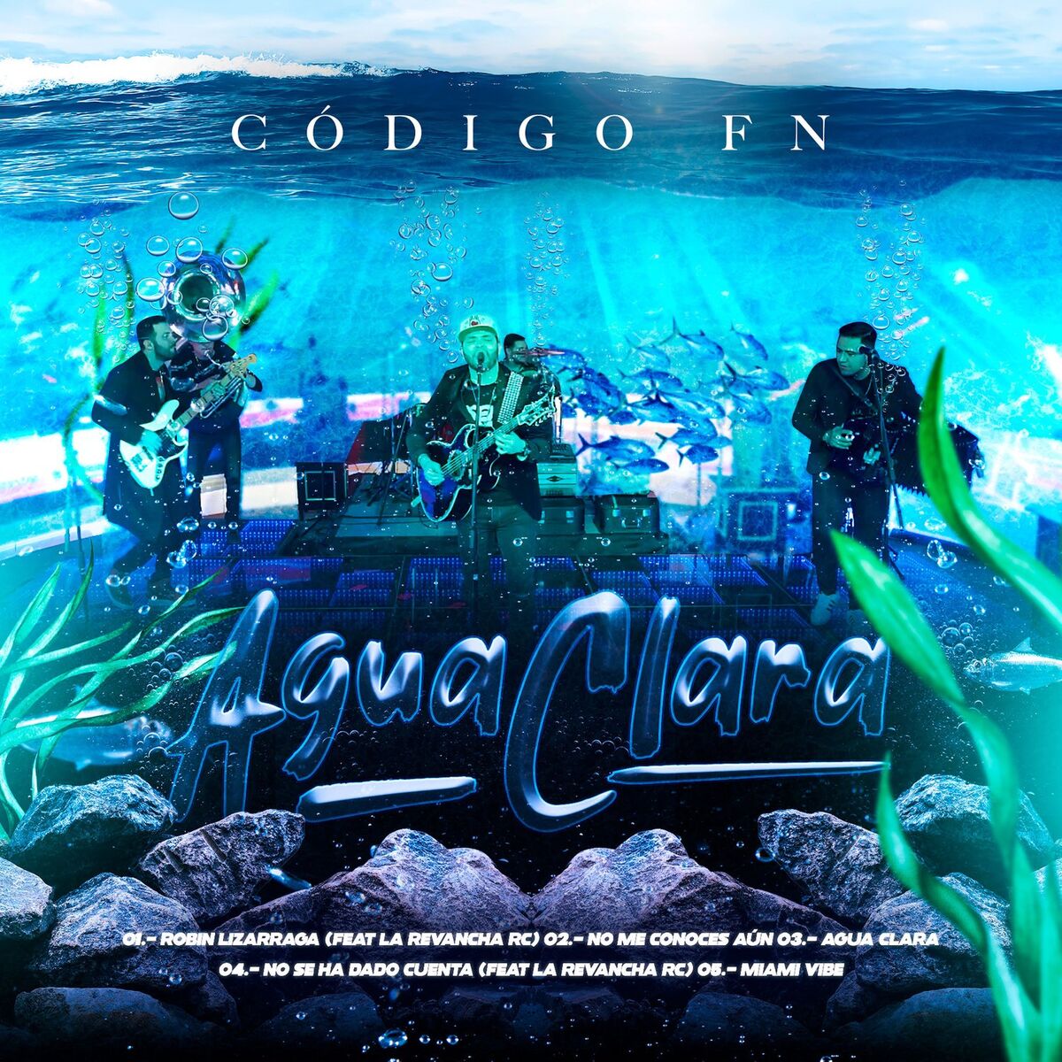 Album cover of Agua Clara