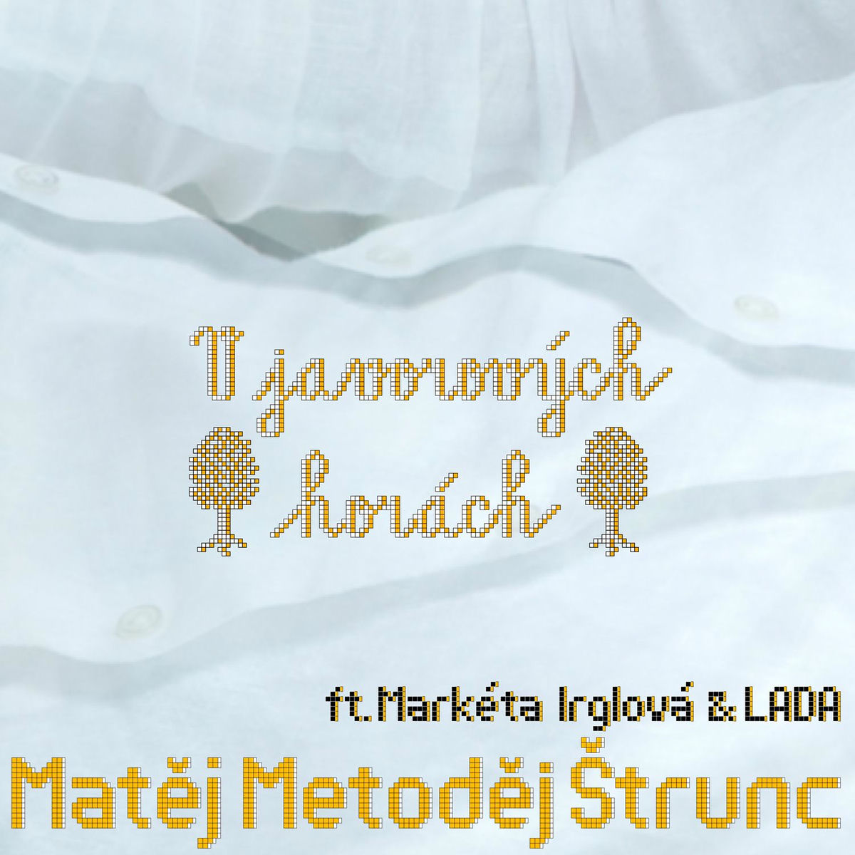 Album cover of V javorových horách