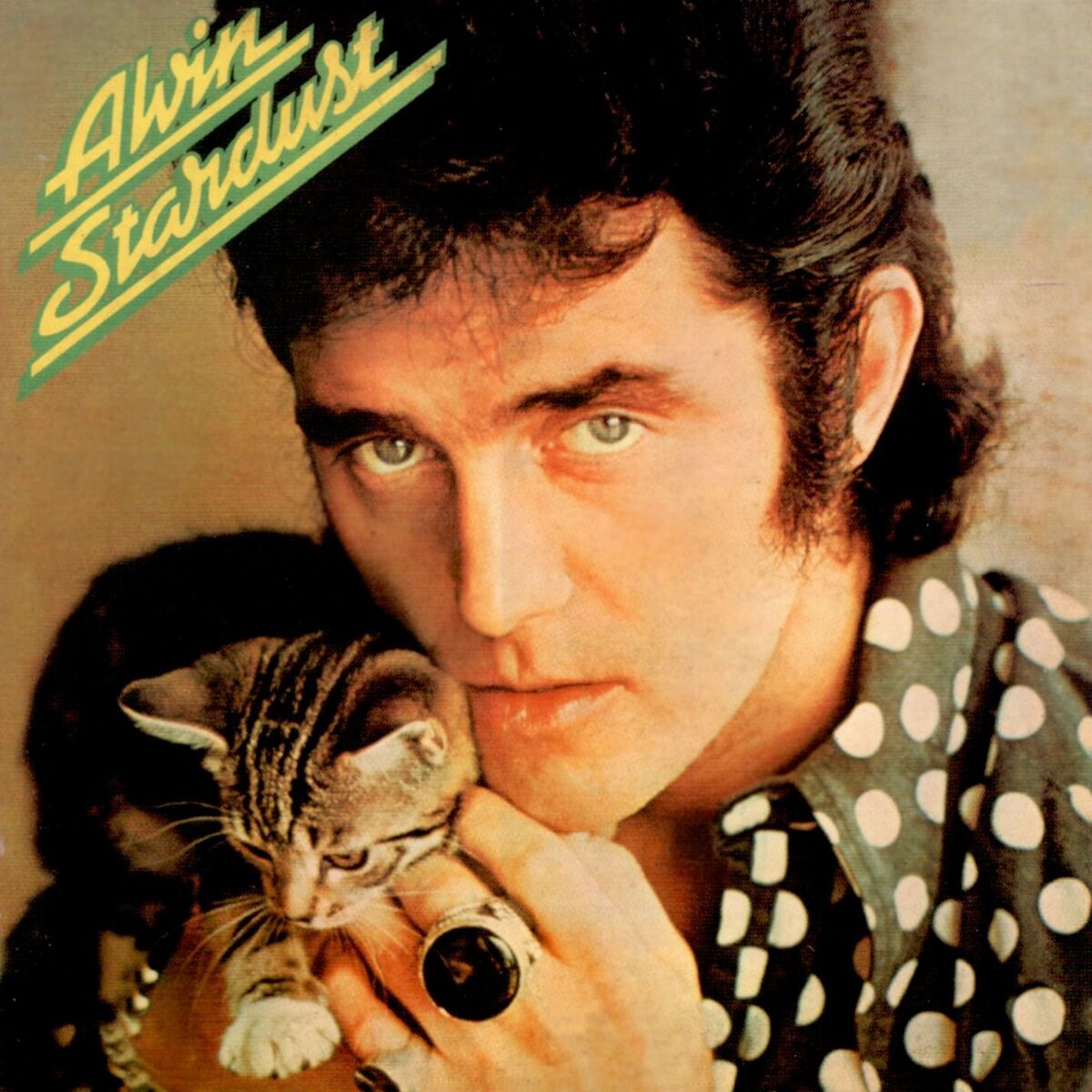 Album cover of Alvin Stardust