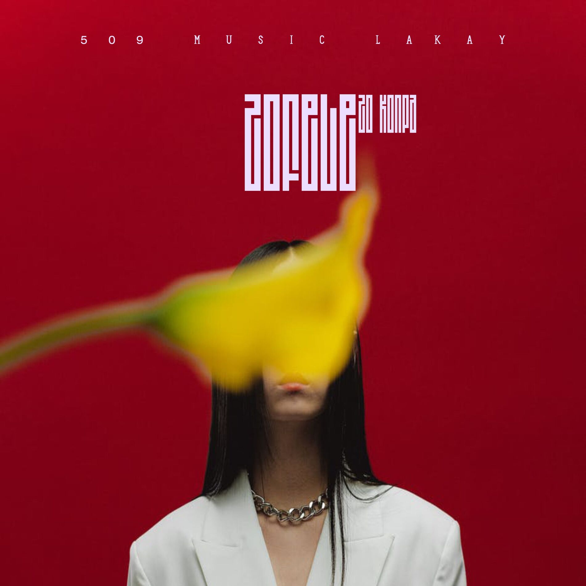 Album cover of Zofele