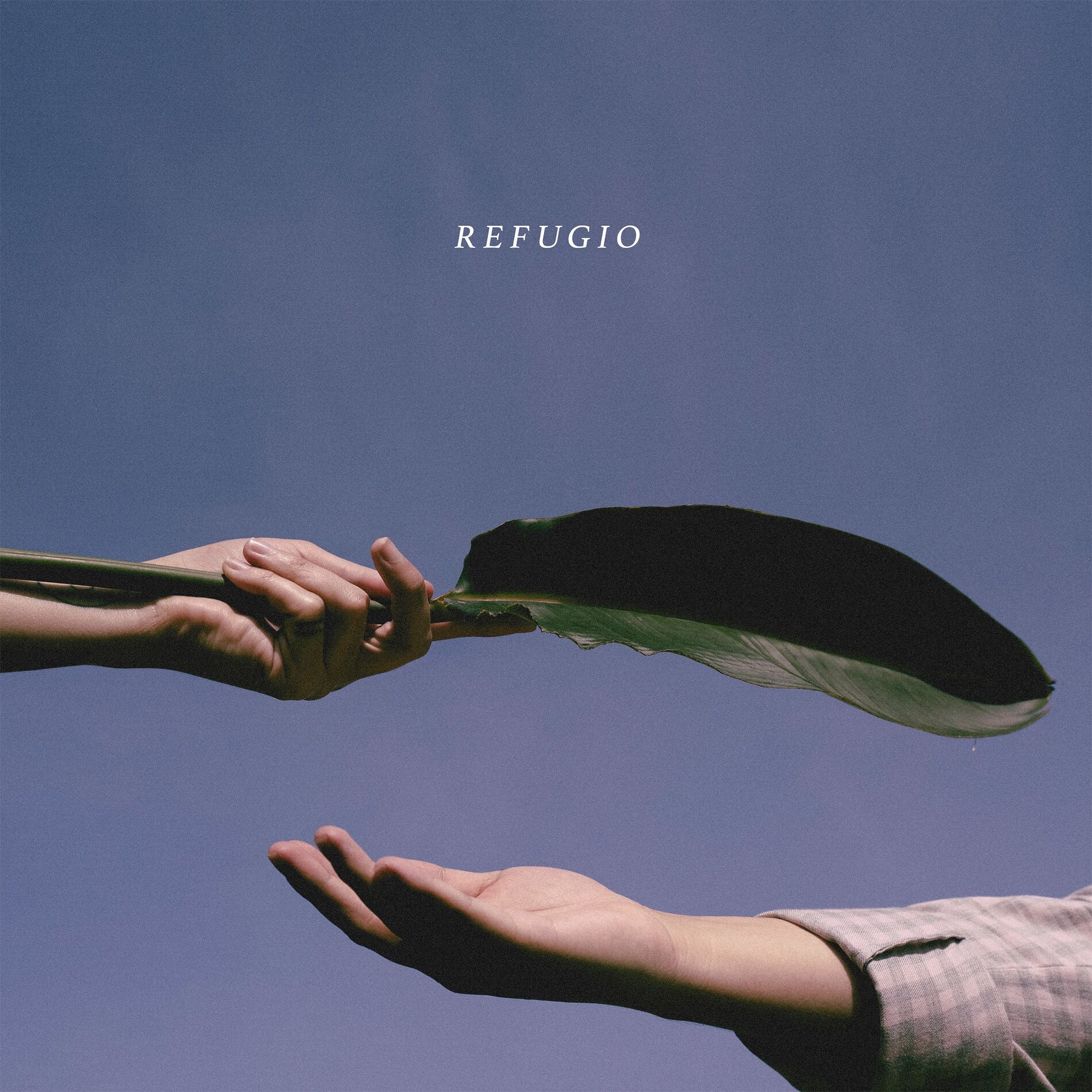 Album cover of Refugio