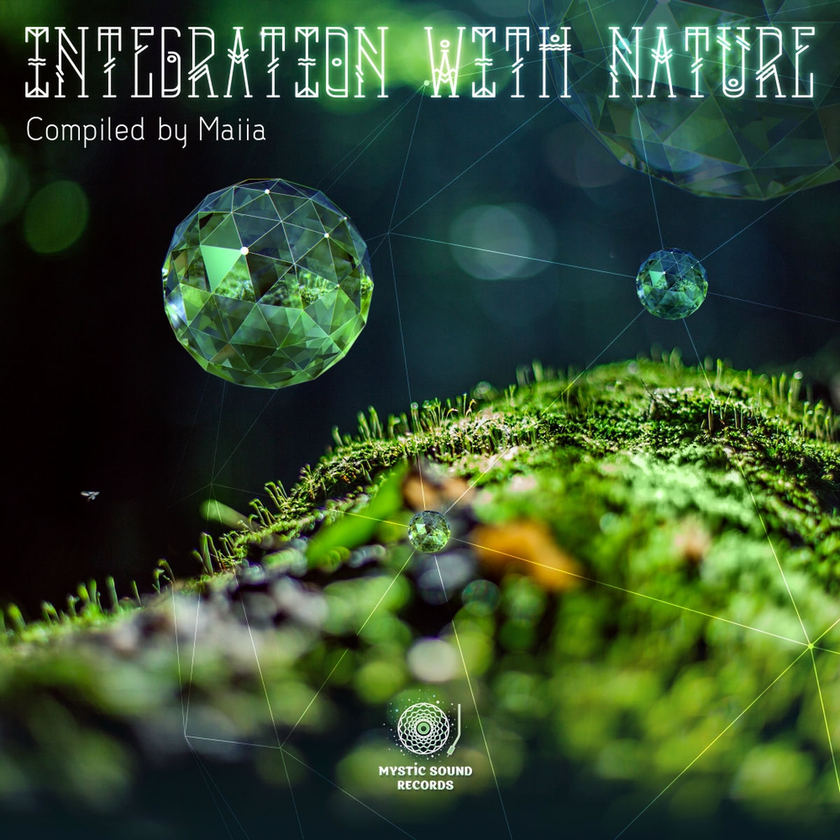 Album cover of Integration With Nature