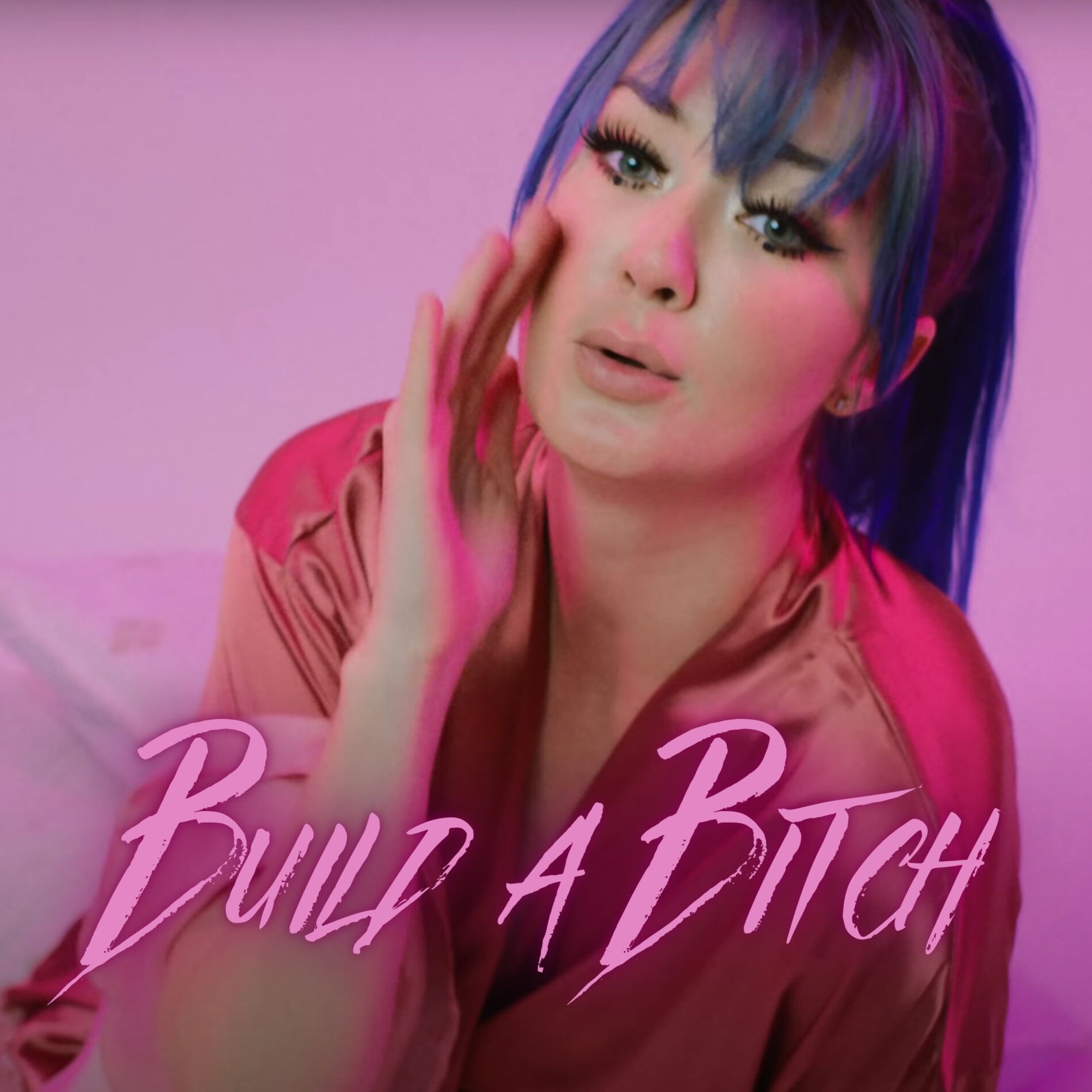 Album cover of Build A Bitch