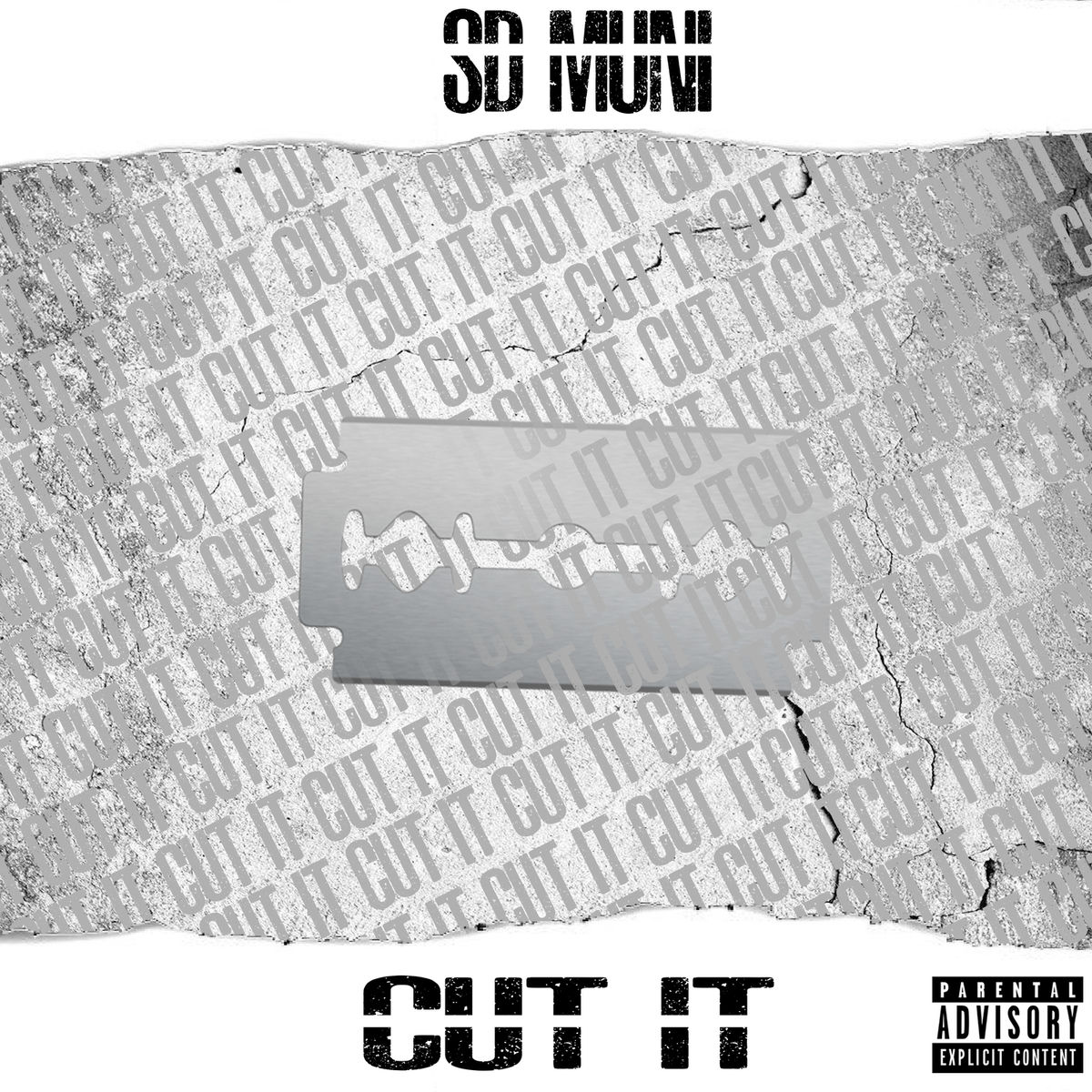 Album cover of Cut It