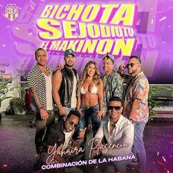 music cover