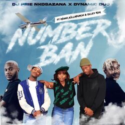 Cover of Number Bani