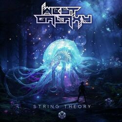 Cover of String Theory