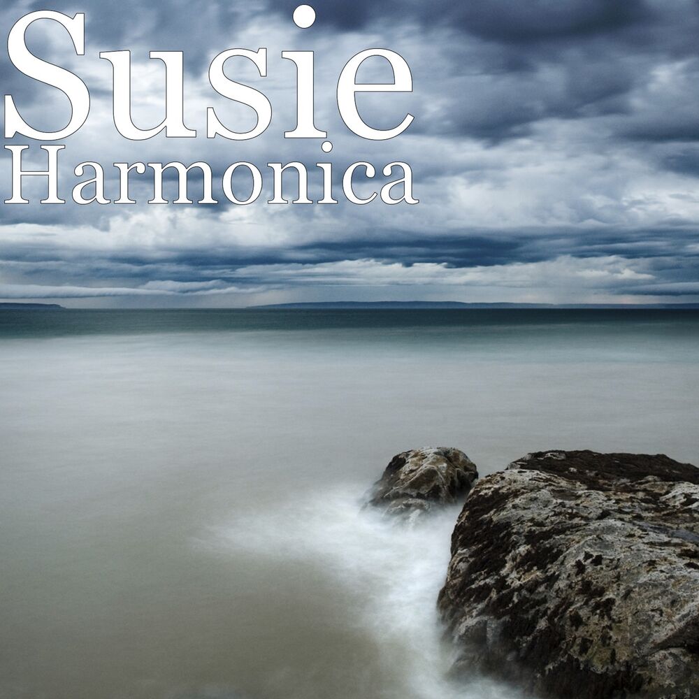 Picture of Harmonica