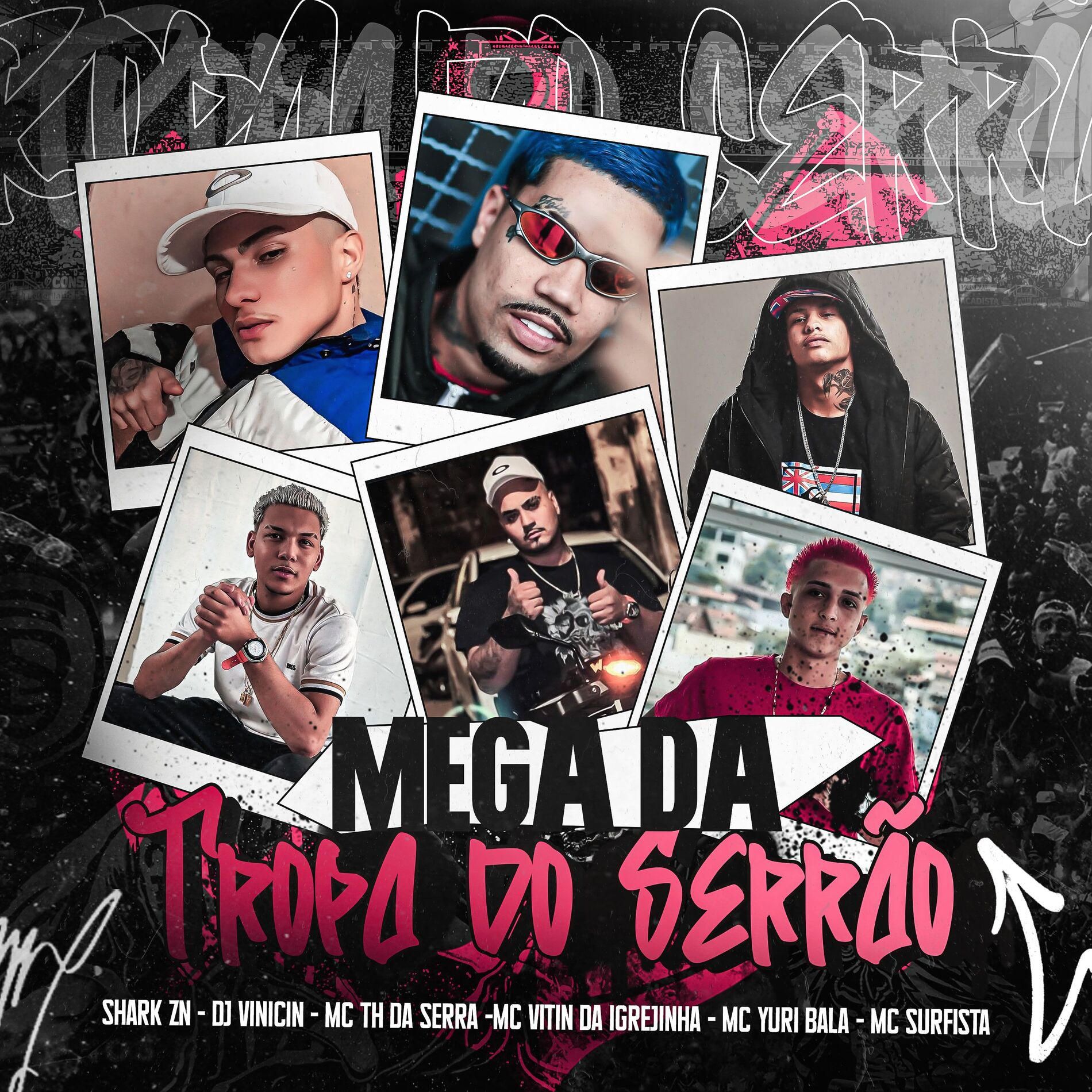 Album cover of Mega da tropa do serrão