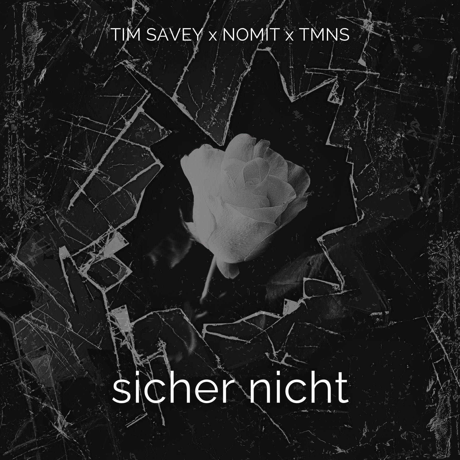 Album cover of Sicher Nicht