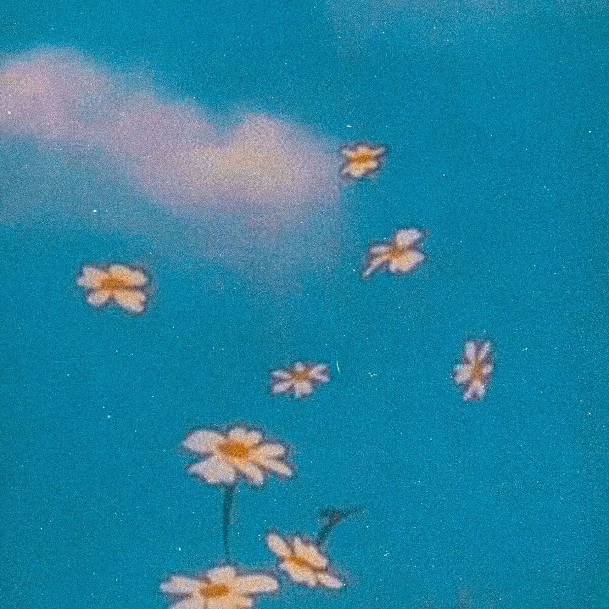 Album cover of WIND
