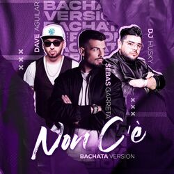 Cover of Non C´è (Bachata Version)