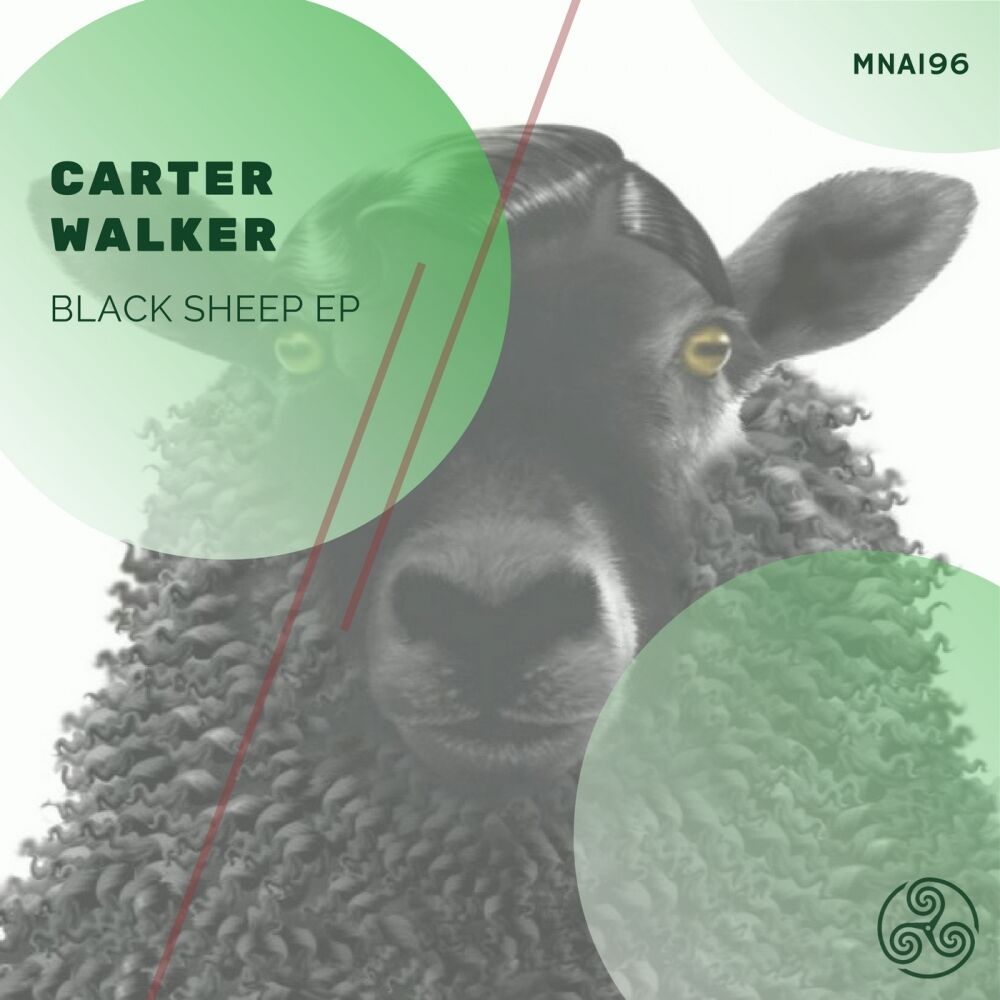 Picture of Black Sheep EP