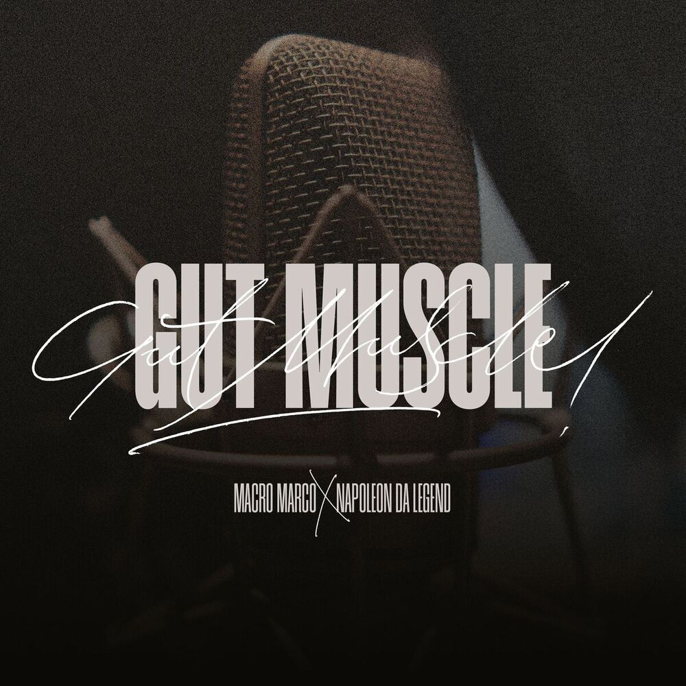 Picture of Gut Muscle