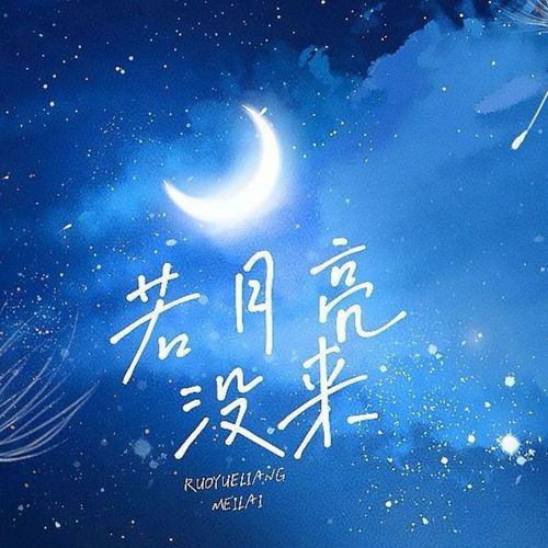 若月亮没来