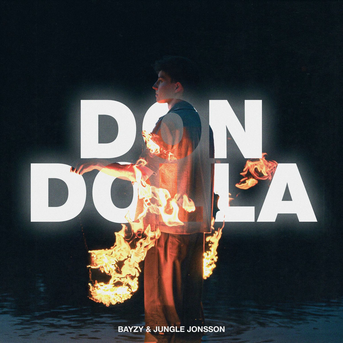 Album cover of Don Dolla