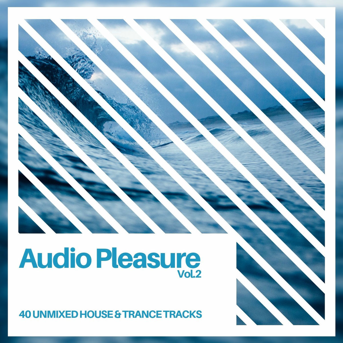 Album cover of Audio Pleasure Vol.2