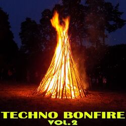 Cover of TECHNO BONFIRE, Vol. 2