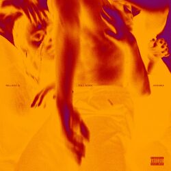 Cover of Full Noise