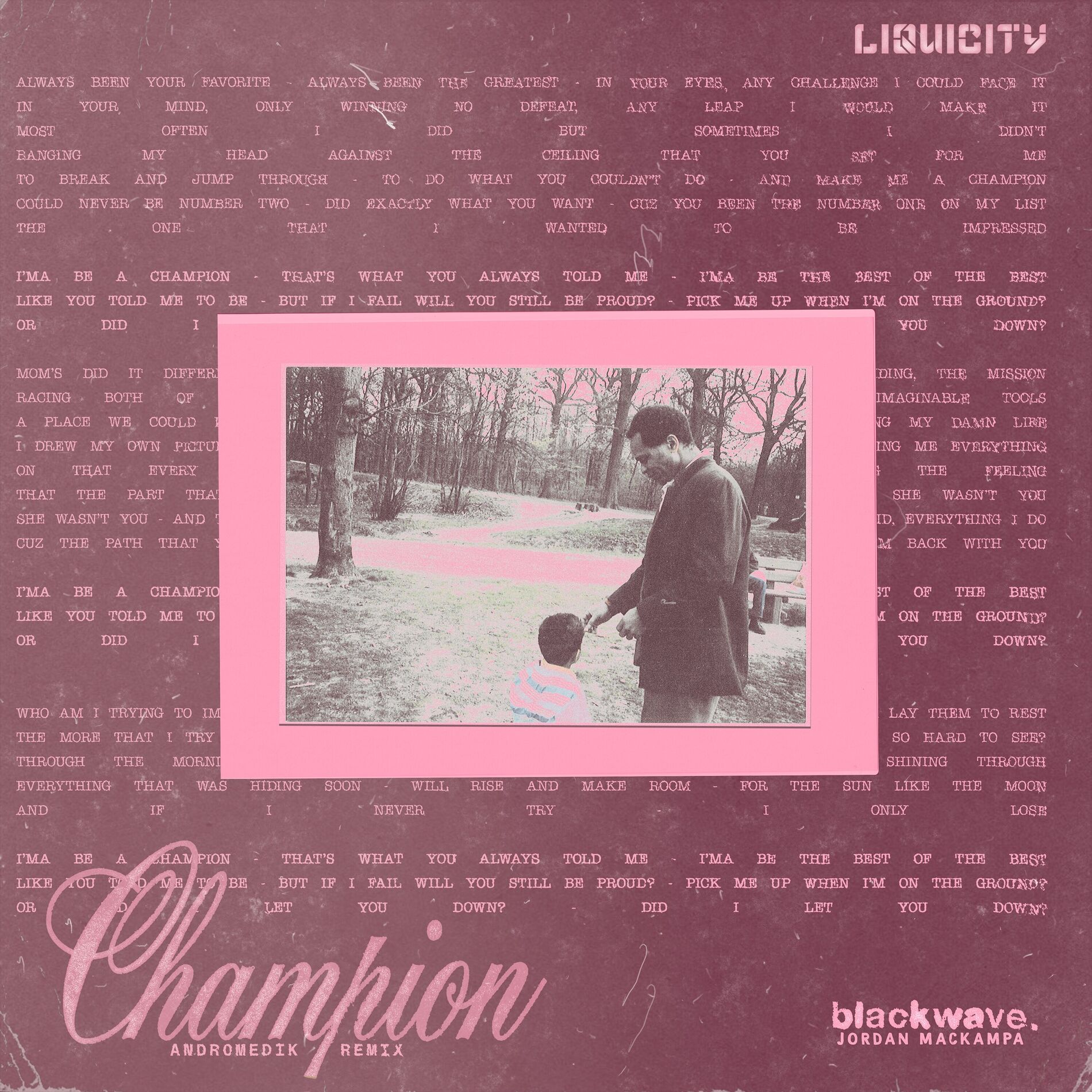Album cover of champion (Andromedik Remix)
