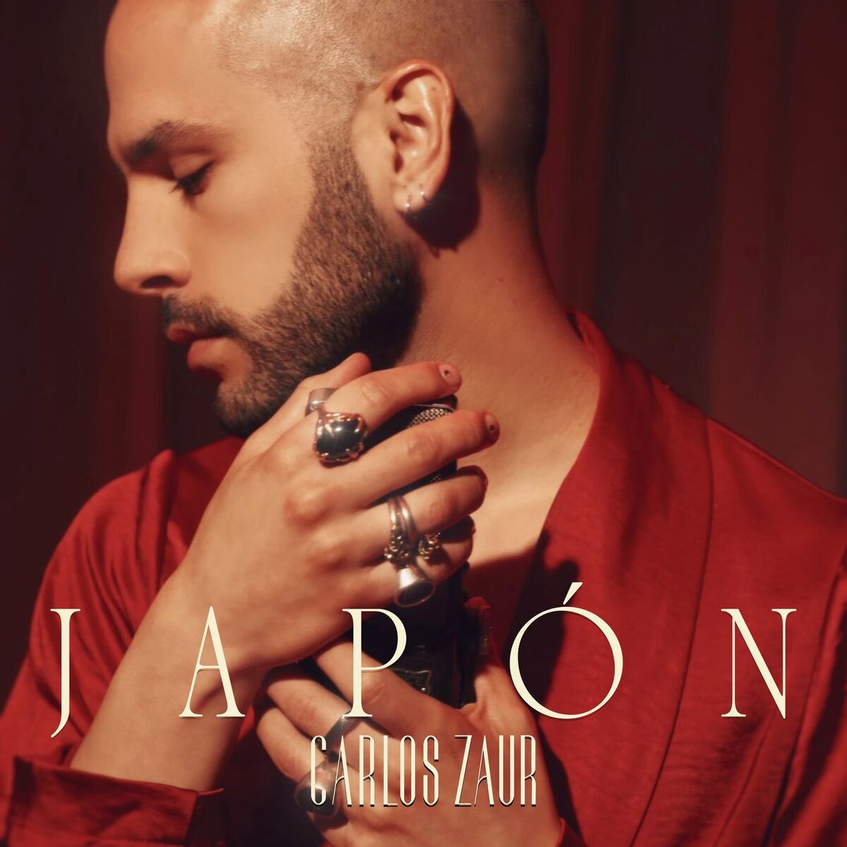 Album cover of Japón