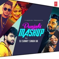 Cover of Punjabi Mashup