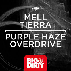 Cover of Purple Haze / Overdrive