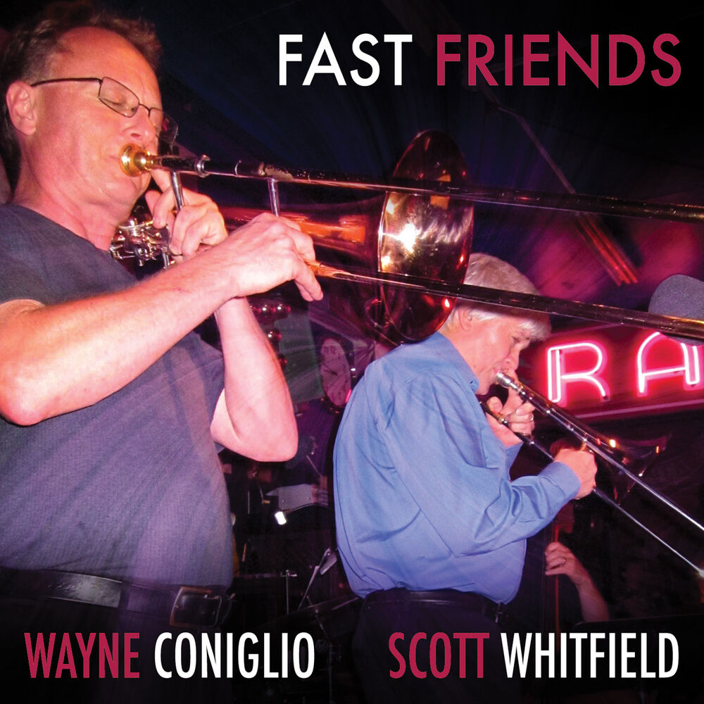 Picture of Fast Friends