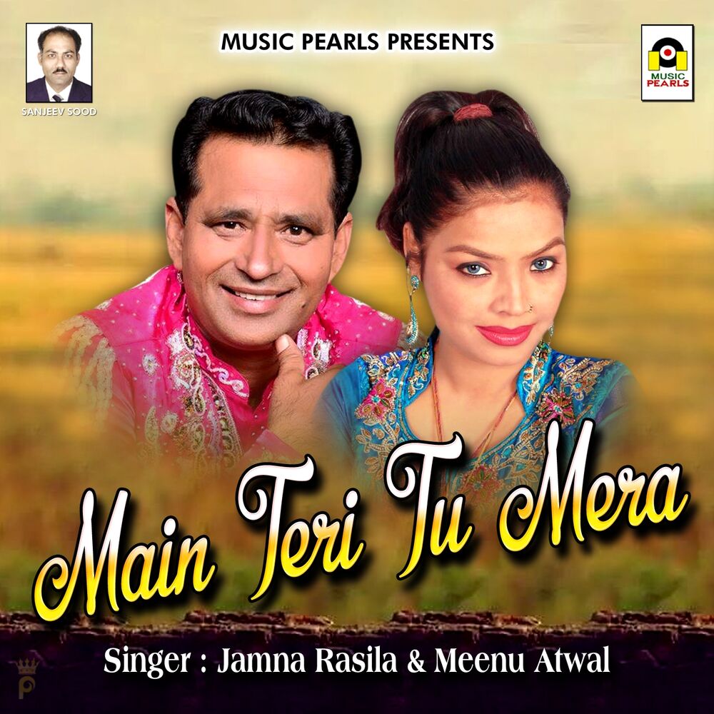 Picture of Main Teri Tu Mera