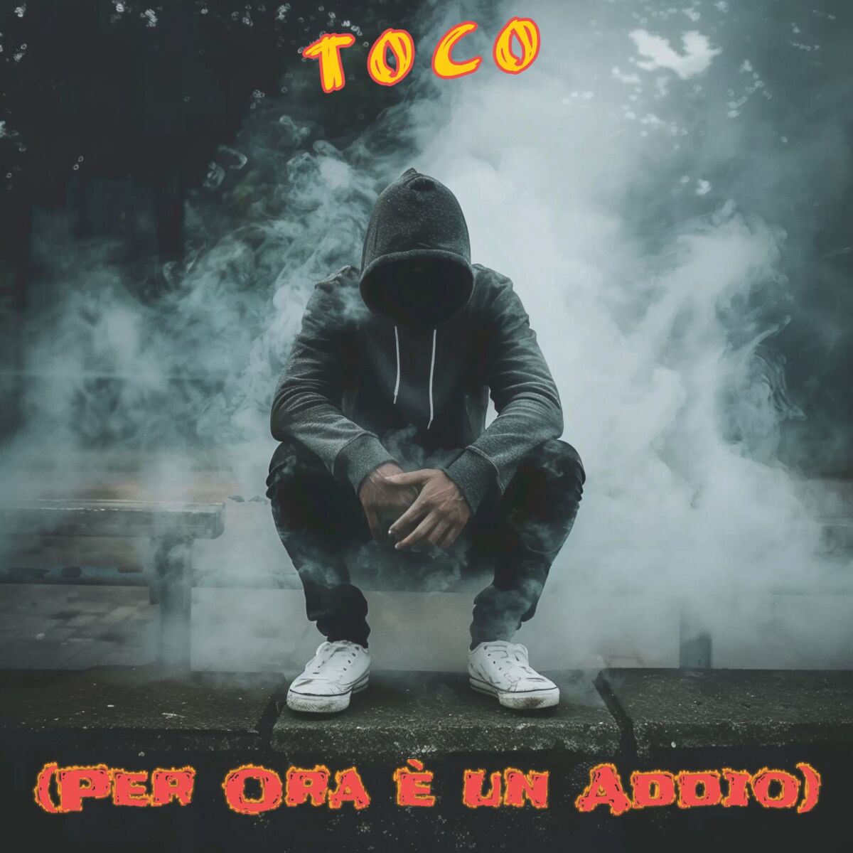 Album cover of (Per Ora è un Addio)